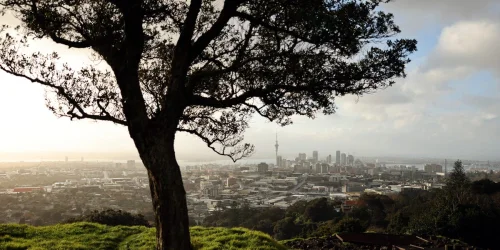 Global Ultra-Wealthy Migration Hits Record High as 142,000 HNWIs Relocate in 2025