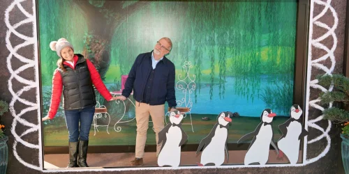 Disney World Unveils New Adult-Focused Experiences and Luxe Dining Options