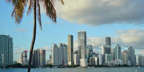 Miami's Hedge Fund Talent Boom Stalls as Investment Staff Numbers Dip