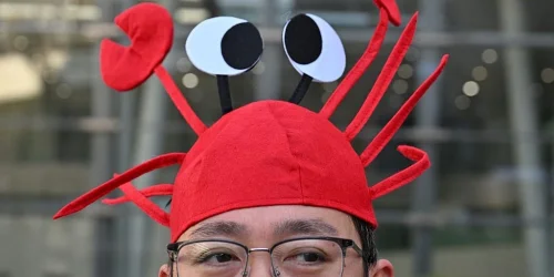 Anthropic cuts OpenClaw support from Claude subscriptions amid surging demand