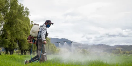 The Shocking Weed Killer Link to the Mysterious Rise of Young Colon Cancer