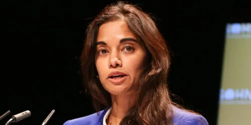 The Shocking Truth Behind the Hedge Fund Bloodbath: How the 'Tiger Cubs' Lost Millions